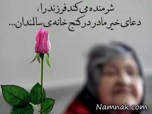 روح الله بهمنی سطلان دل زهرا